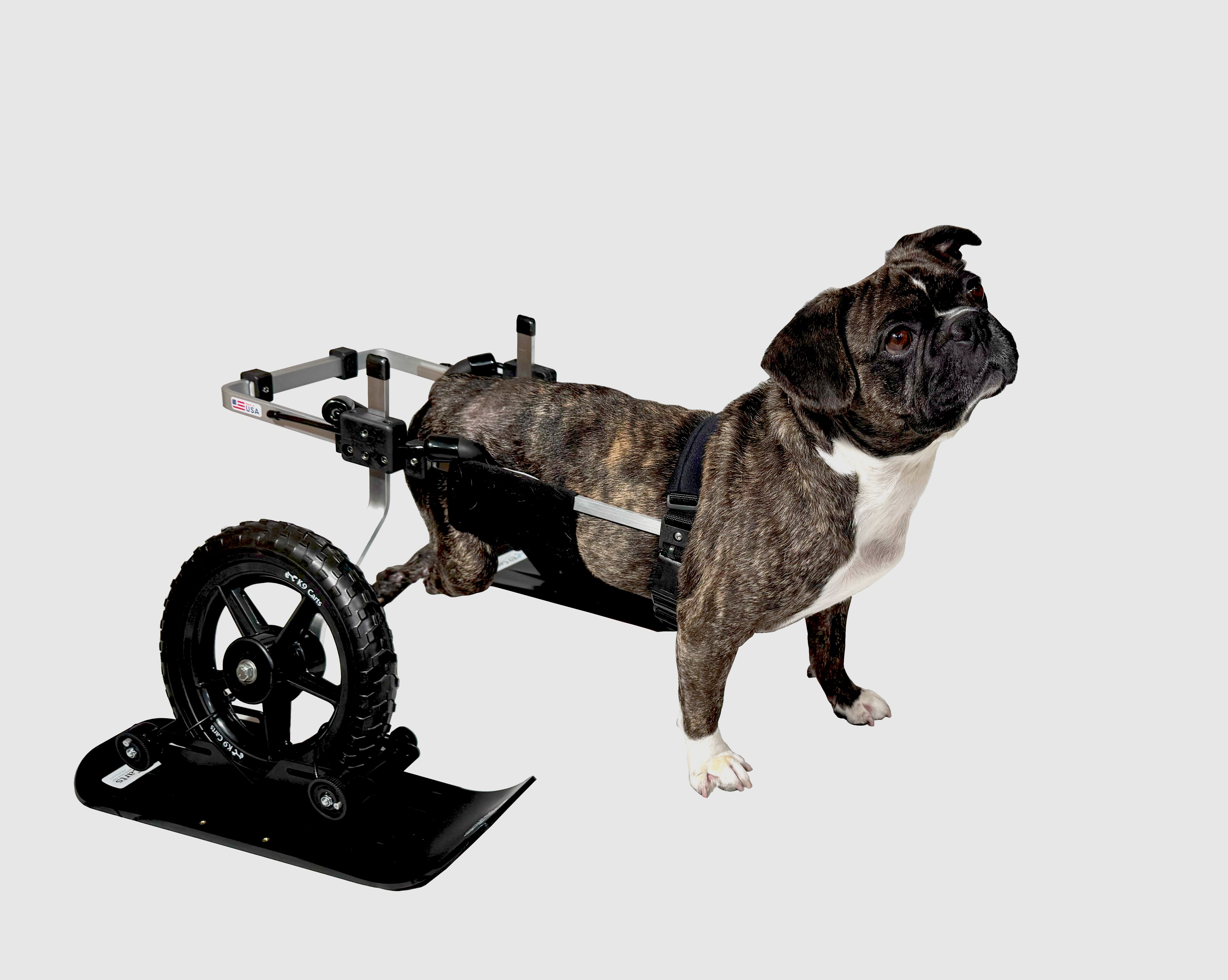 Dog Wheelchair Skis for Disabled Pets K9 Carts
