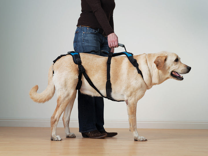 Help 'Em Up Tripawd Support