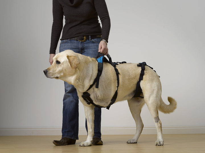 Help 'Em Up Tripawd Support