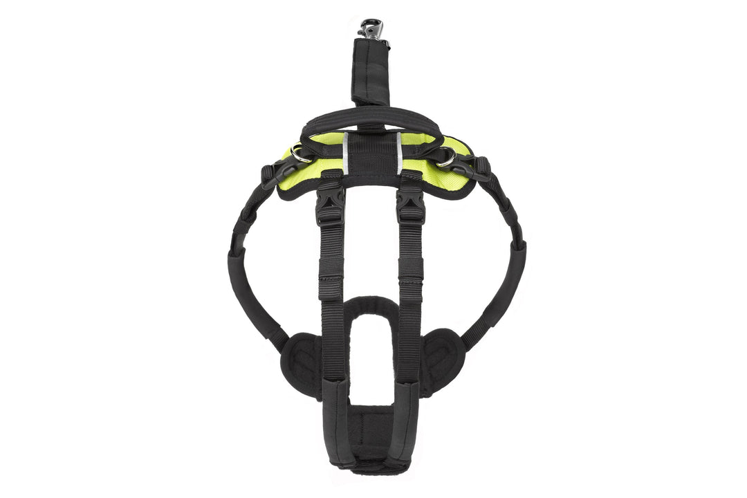 Help 'Em Up Harness (10lbs. - 225lbs.)