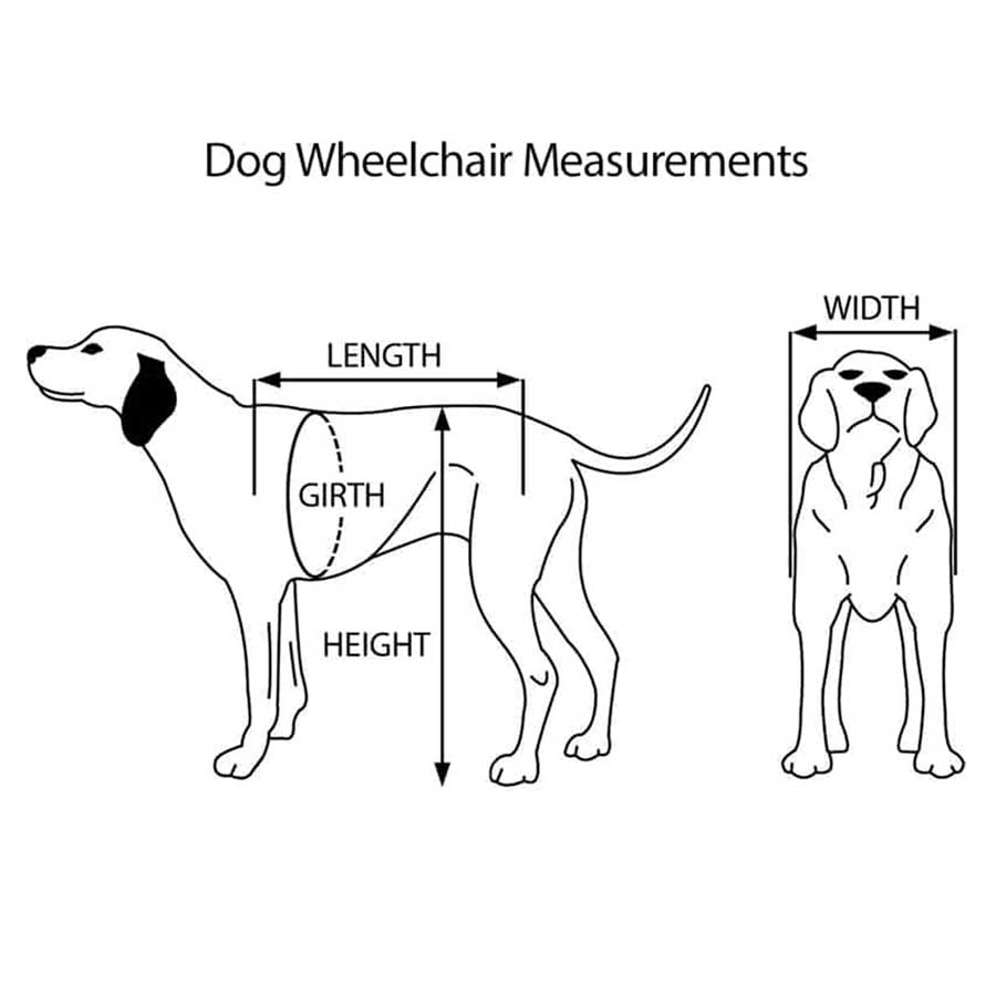 Dog Wheelchair for Back Legs – Rear Support