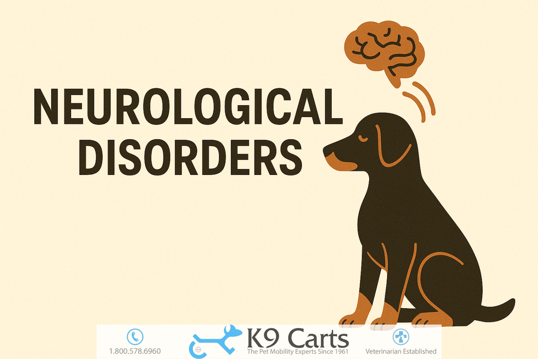 Neurological disorders in dogs affecting back legs