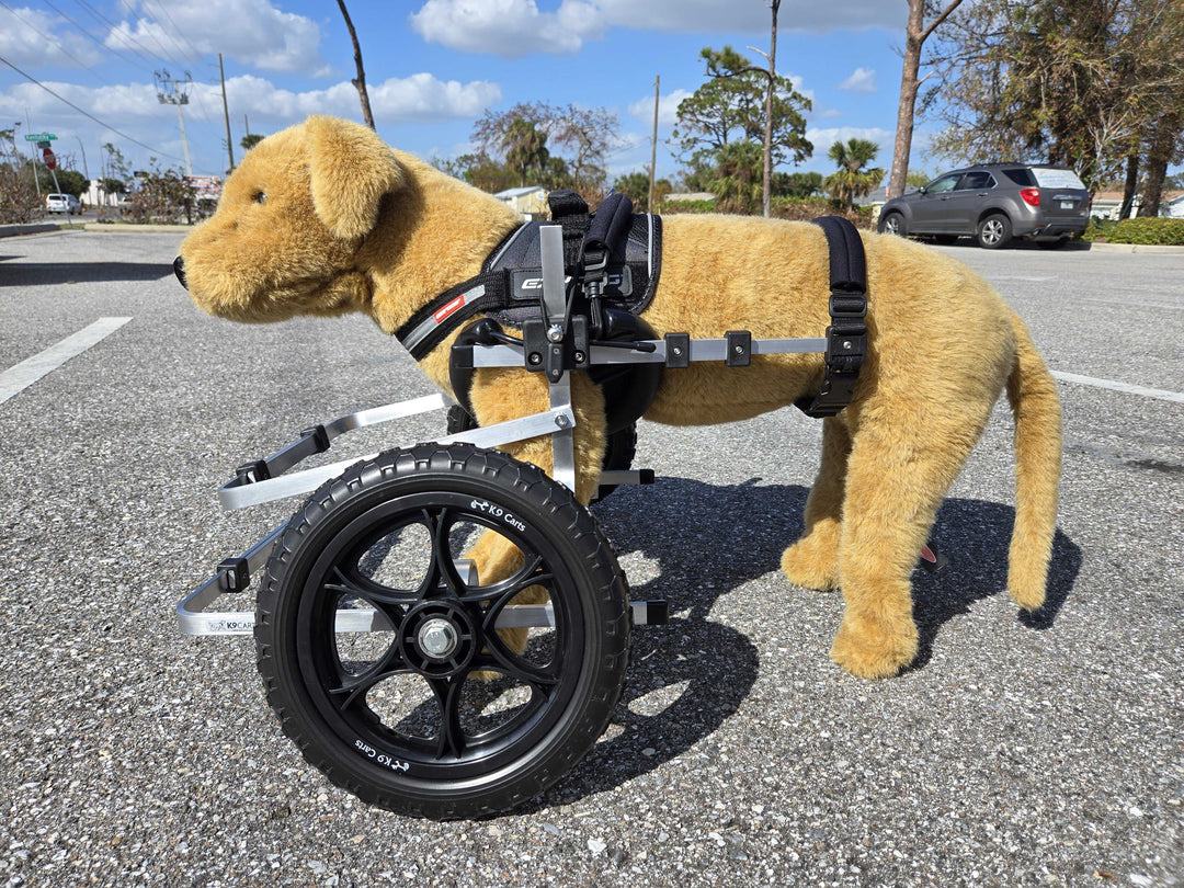 Dog Wheelchair for Front Legs
