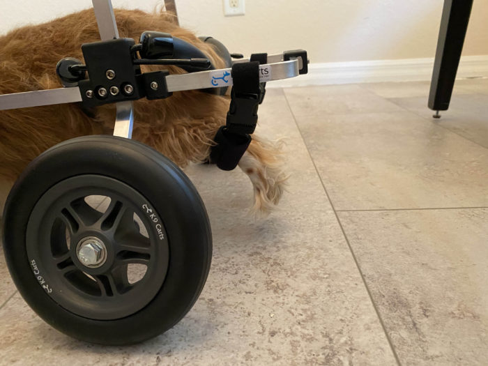 K9 Carts Wheelchair Leg Slings