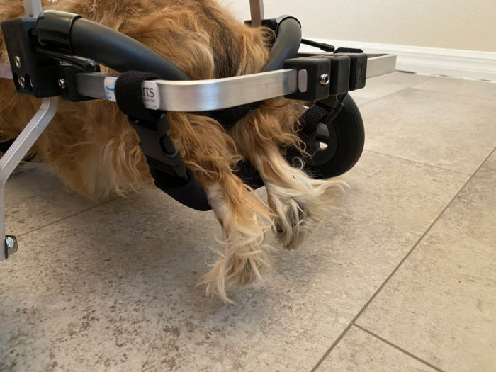 K9 Carts Wheelchair Leg Slings