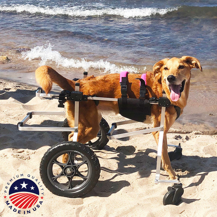 Full Support Dog Wheelchair Rental