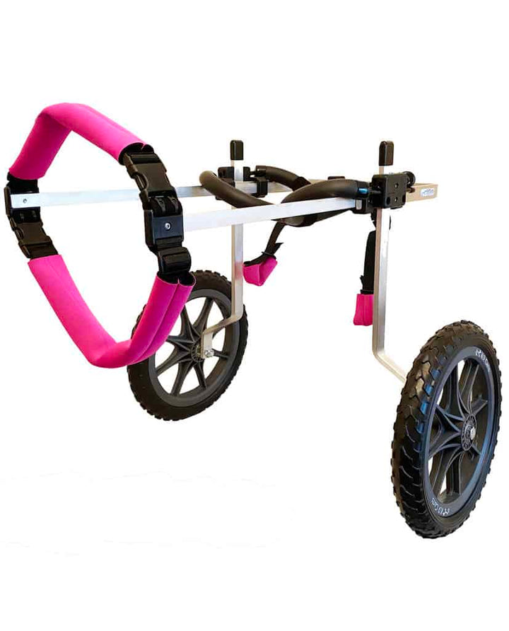 Rear Support Dog Wheelchair Rental