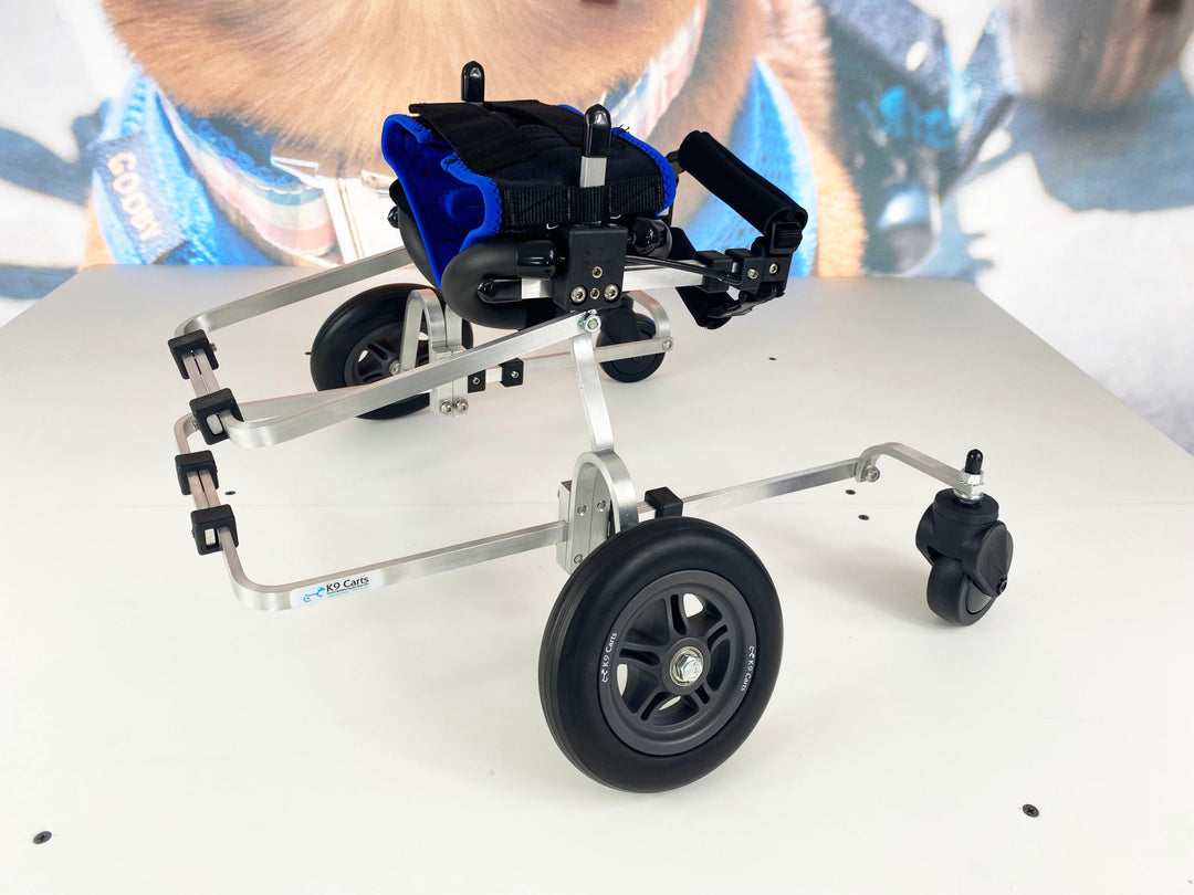 Forelimb Dog Wheelchair – Rear Training Wheels