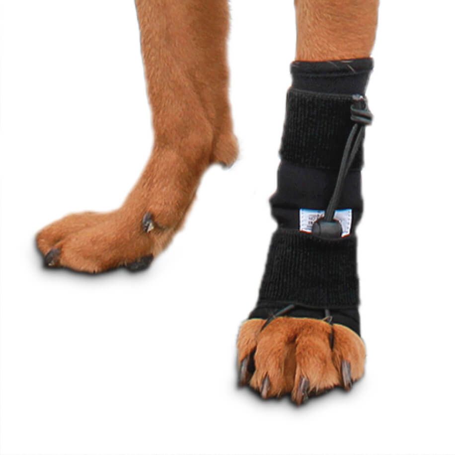 Front No-Knuckling Training Sock