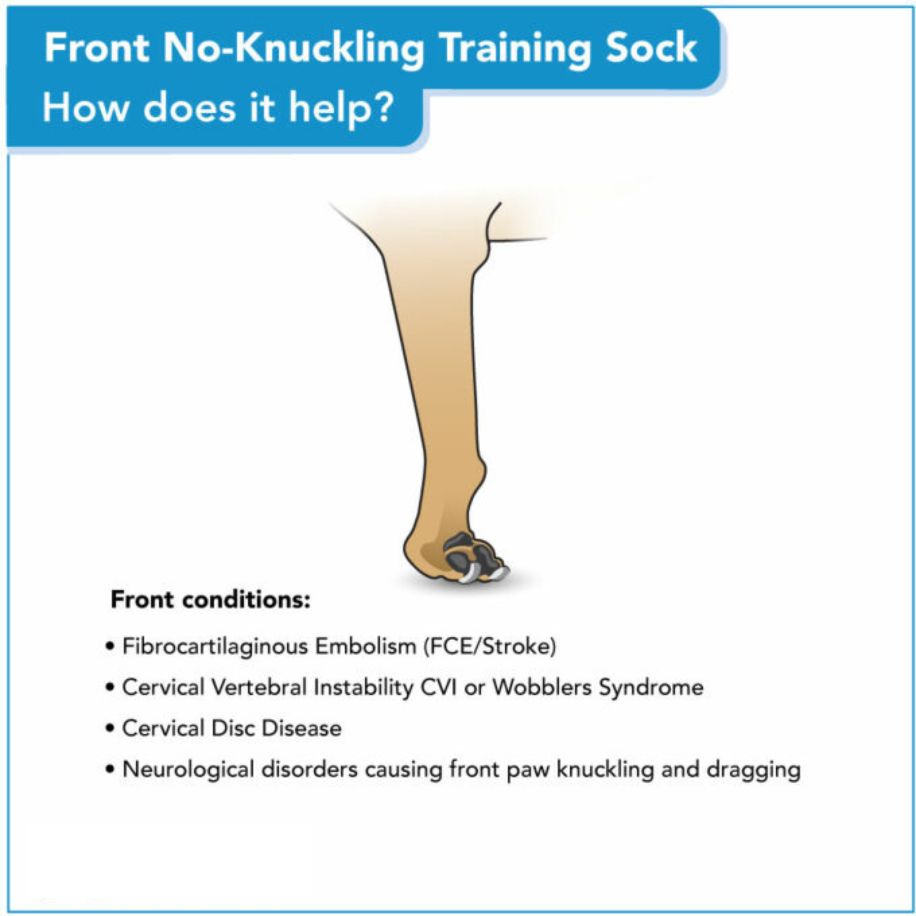 Front No-Knuckling Training Sock