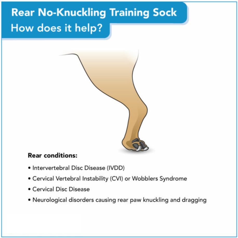 Rear No-Knuckling Training Sock