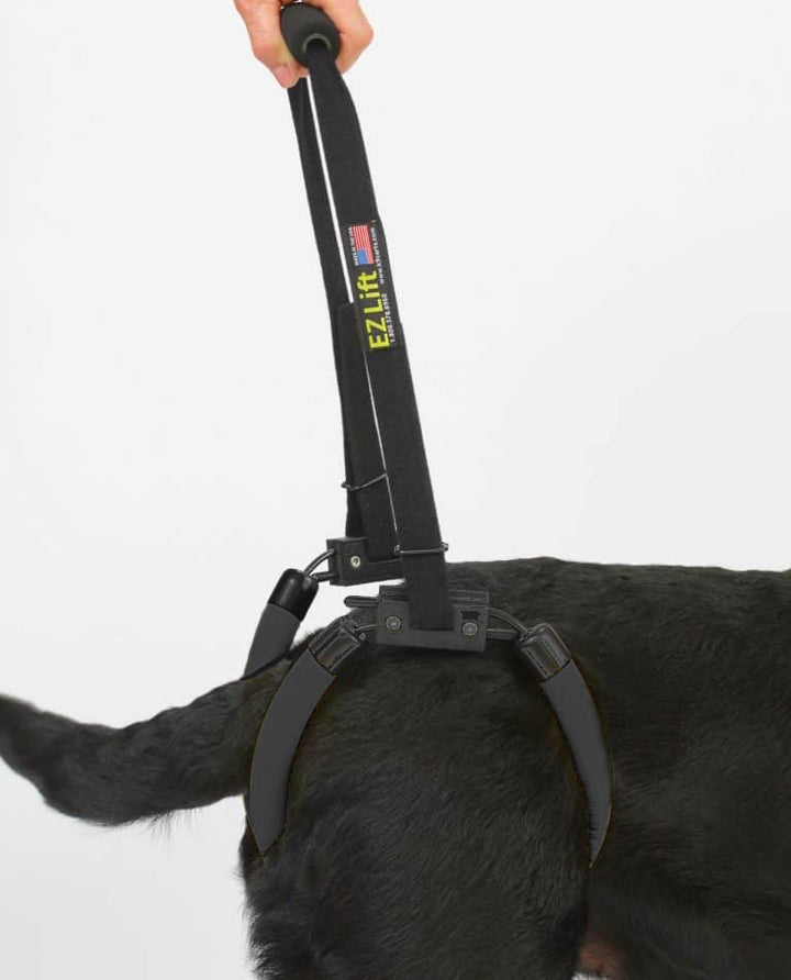 Dog Lift Harness – EZ Lift