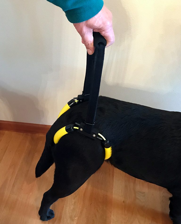 Dog Lift Harness – EZ Lift