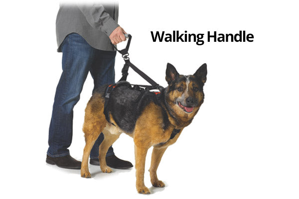 Help Em Up Walking Accessories K9 Carts