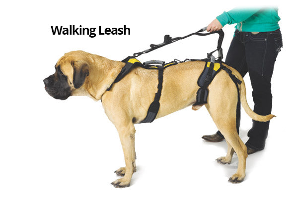 Help Em Up Walking Accessories K9 Carts