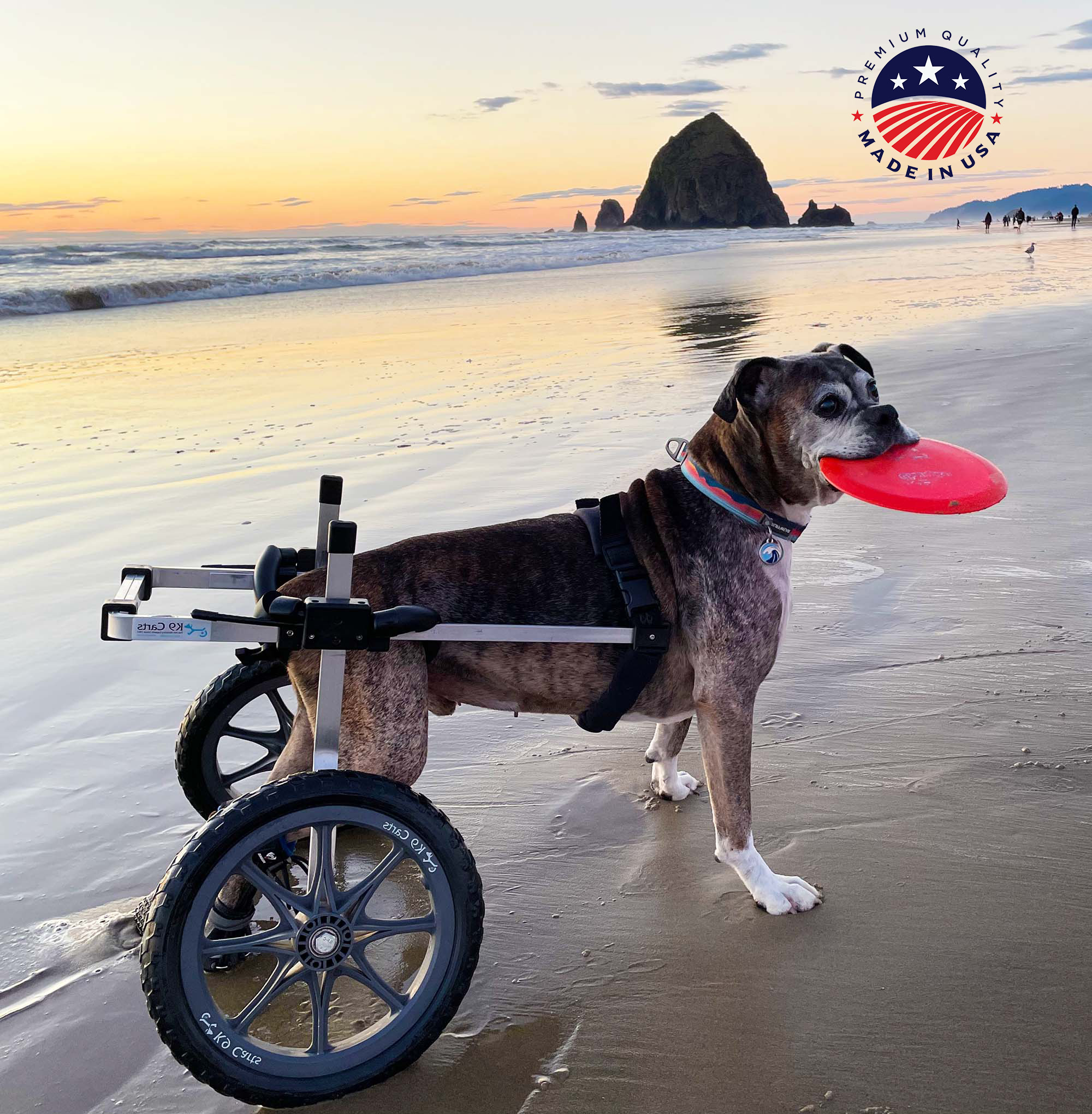 Rear Support Dog Wheelchair for Back Legs - K9 Carts