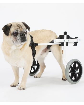 Pet Wheelchairs