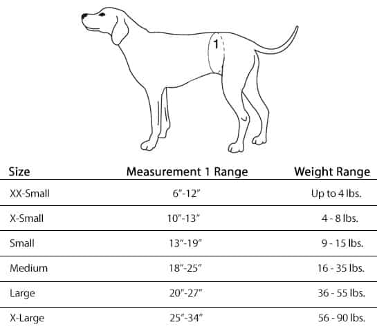 female dog diaper measurement