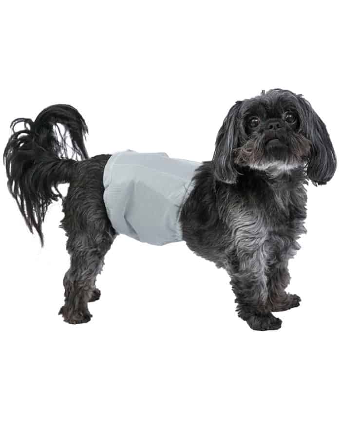 small reusable washable male dog wrap diaper poochpad
