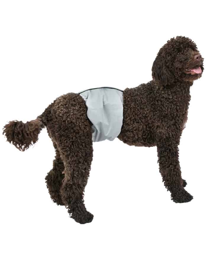 poodle poochpad male dog wrap diaper washable reusable