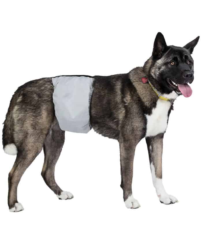 washable reusable poochpad male dog wrap diaper large