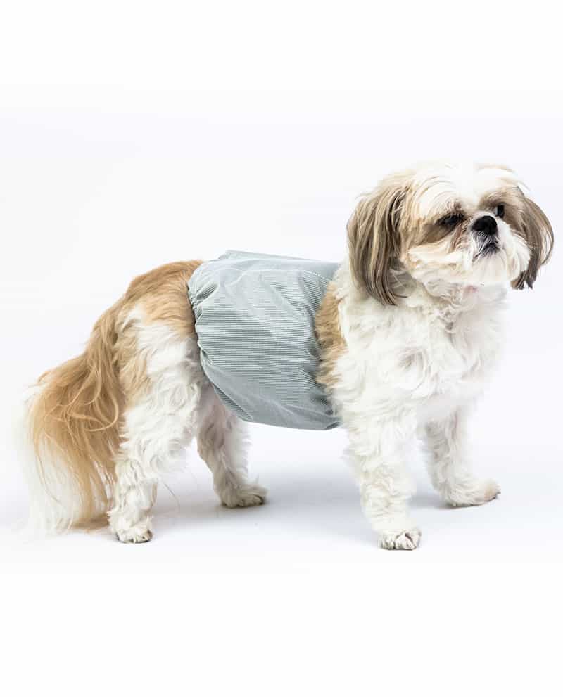R- LS DK Inventors of The Original Disposable Dog Diapers Keeper for Male and Female Dogs A Simple Solution to an Everyday Problem Wrap Around Legs for Superior Fit Fits Puppies to Adult Dogs 