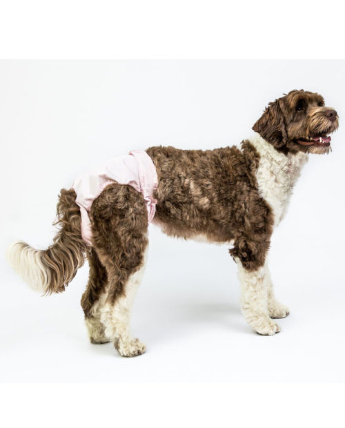 spaniel dog diaper large