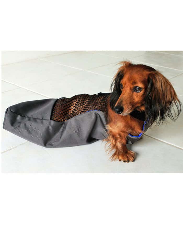 drag bag for dachshund dog protection
