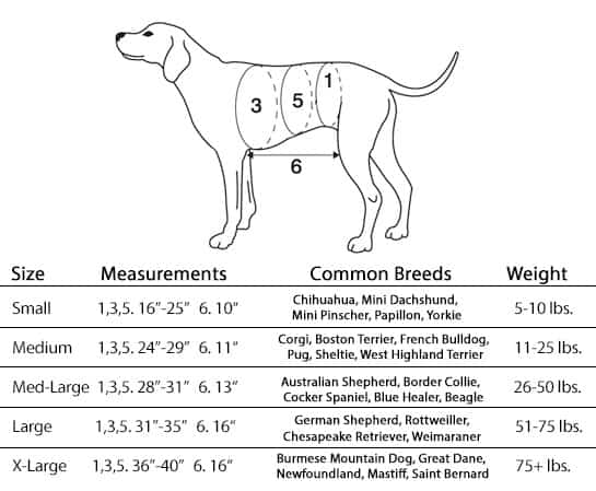 walkabelly dog harness measurements
