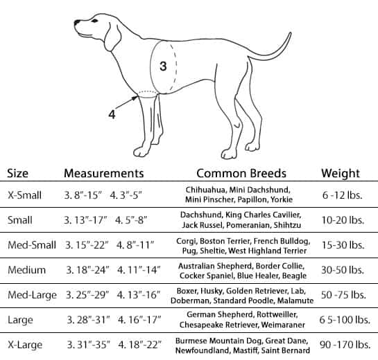 walkabout front dog harness measurements
