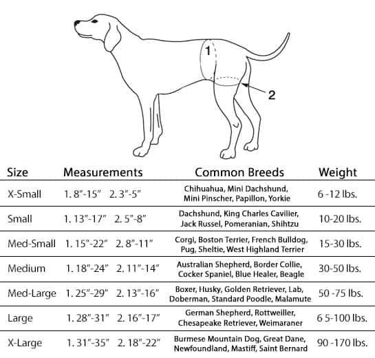 walkabout rear harness dog measurements
