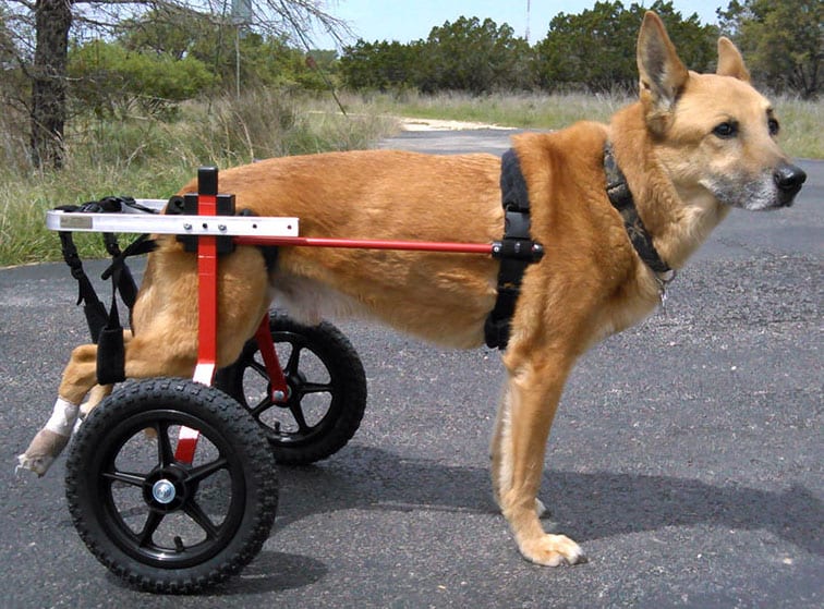 k9 carts dog Wheelchair Length Adjustment