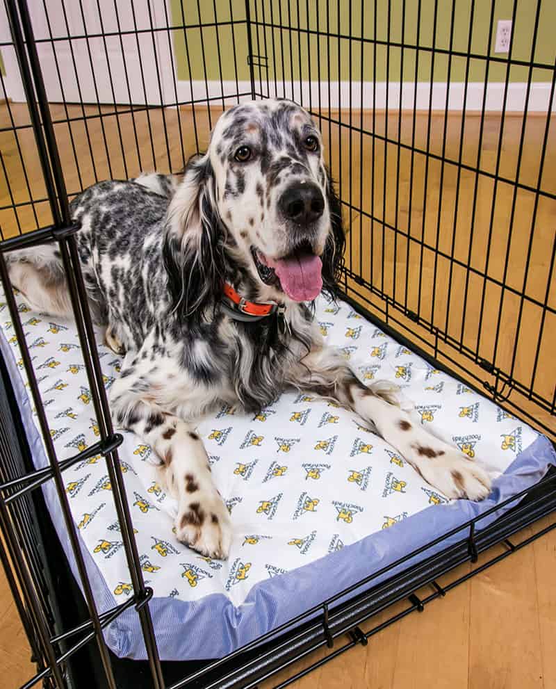 https://k9carts.com/wp-content/uploads/2016/12/pooch-pad-crate-and-kennel-pad.jpg