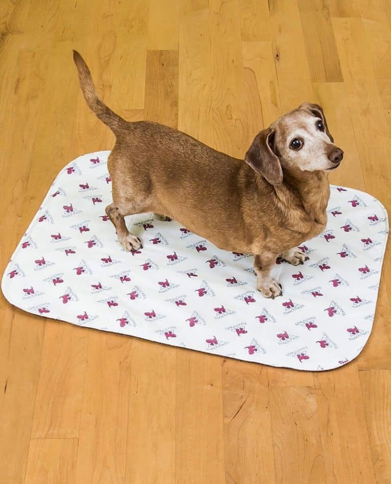 reusable washable PoochPad Mature Potty Pad