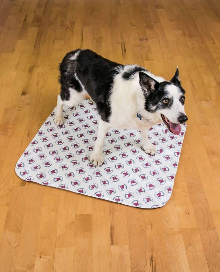 reusable washable PoochPad Mature Potty Pad for dog