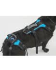 Help Em Up Harness - For Dogs - K9 Carts