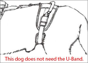 U-Band is needed on harness