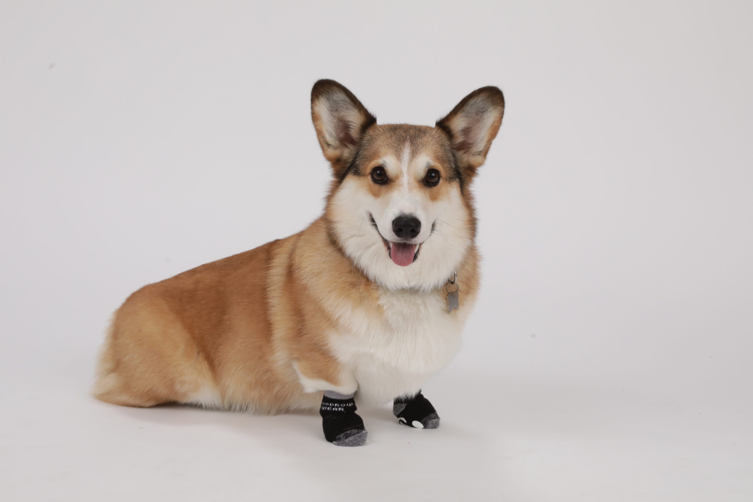 S with Reinforced Toe Traction Socks for Dogs Woodrow Wear Power Paws Advanced fits up to 45 lbs. Black & Gray 