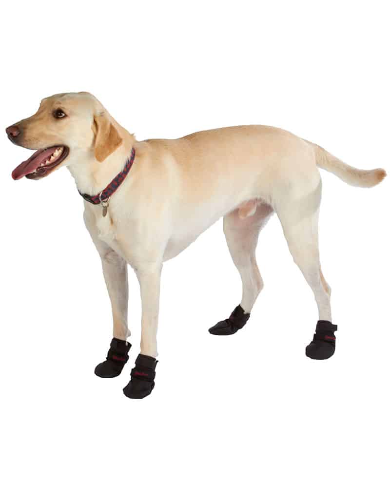 Ultra Paws Dog Boots Size Chart