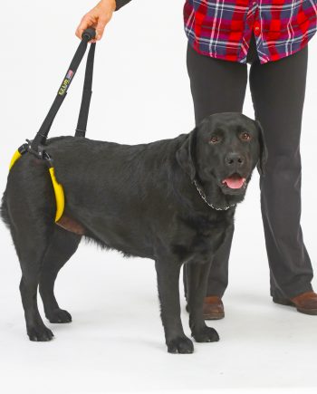 EZ Lift Rear Support Dog Sling Harness