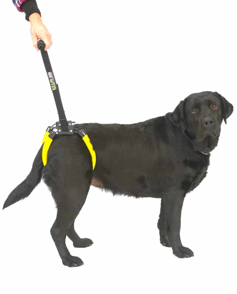 The Airlift - K9 Rescue Sling