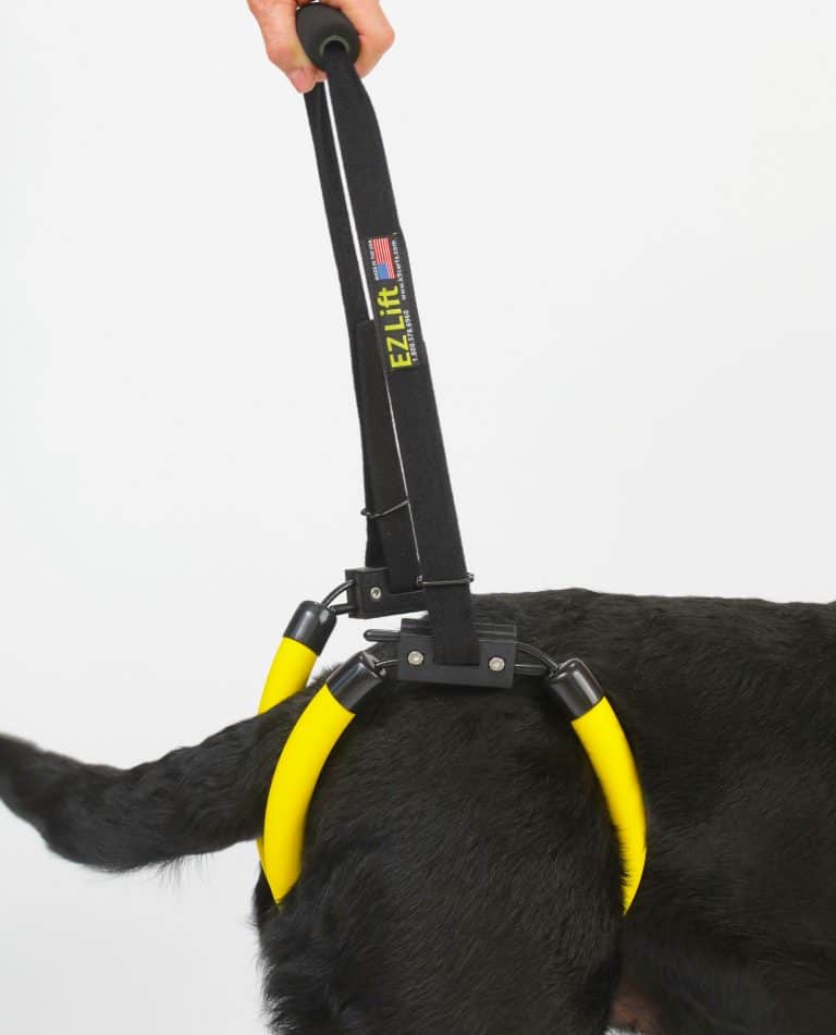EZ Lift Dog Support Harness