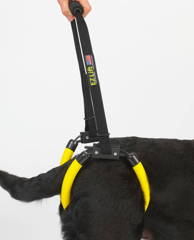https://k9carts.com/wp-content/uploads/2018/04/ez-lift-large-dog-sling-rear-support.jpg