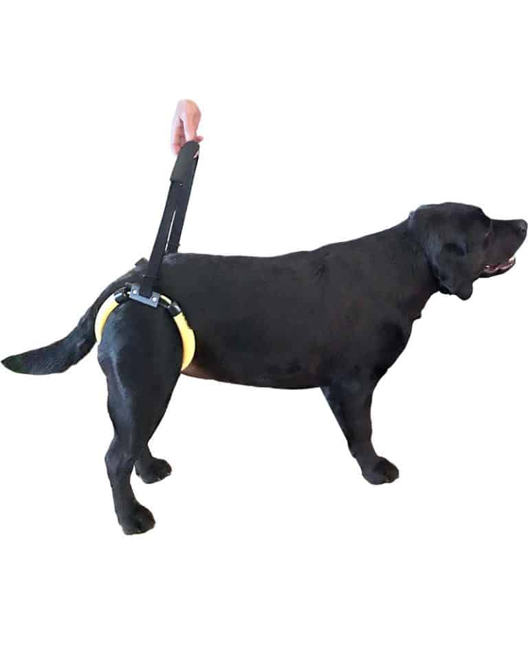 ez lift dog harness sling for large dog