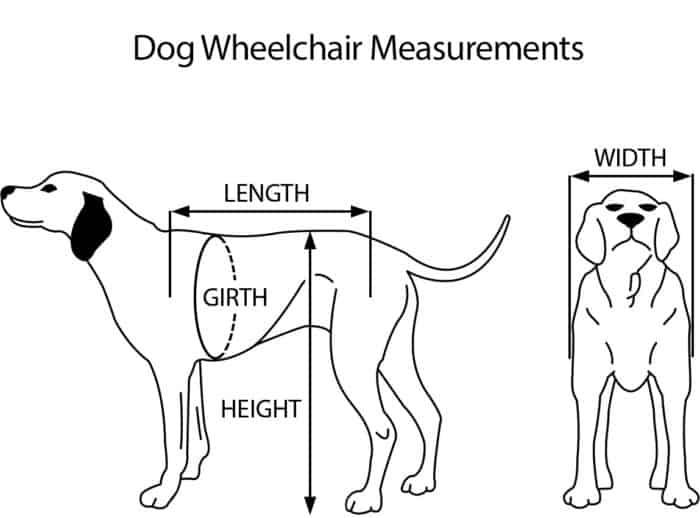 Dog Wheelchair Measurements