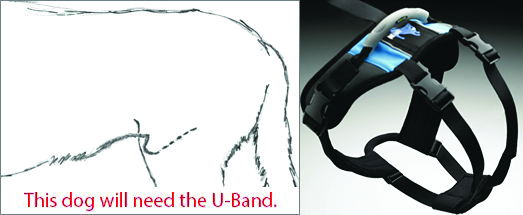 U-Band is needed for harness.